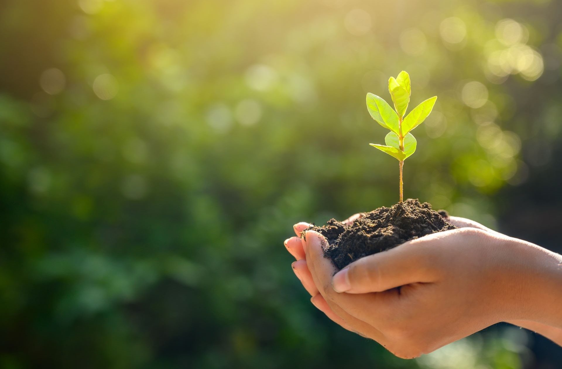 GettyImages-1163979032 2